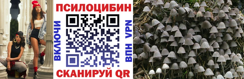 Галлюциногенные грибы ЛСД Петухово